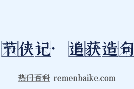 节侠记·追获造句是什么意思的图片